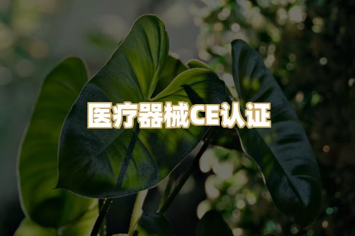 医疗器械CE认证